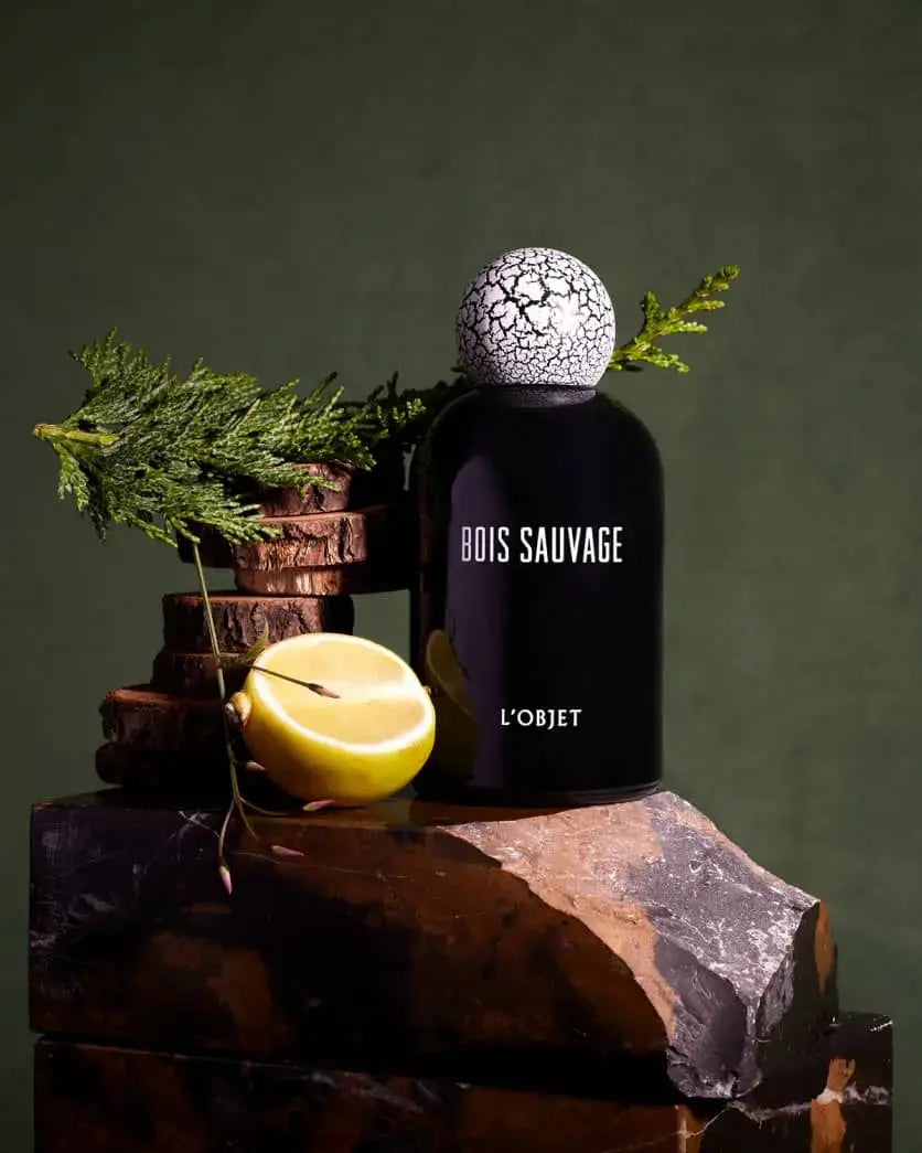 L'Objet