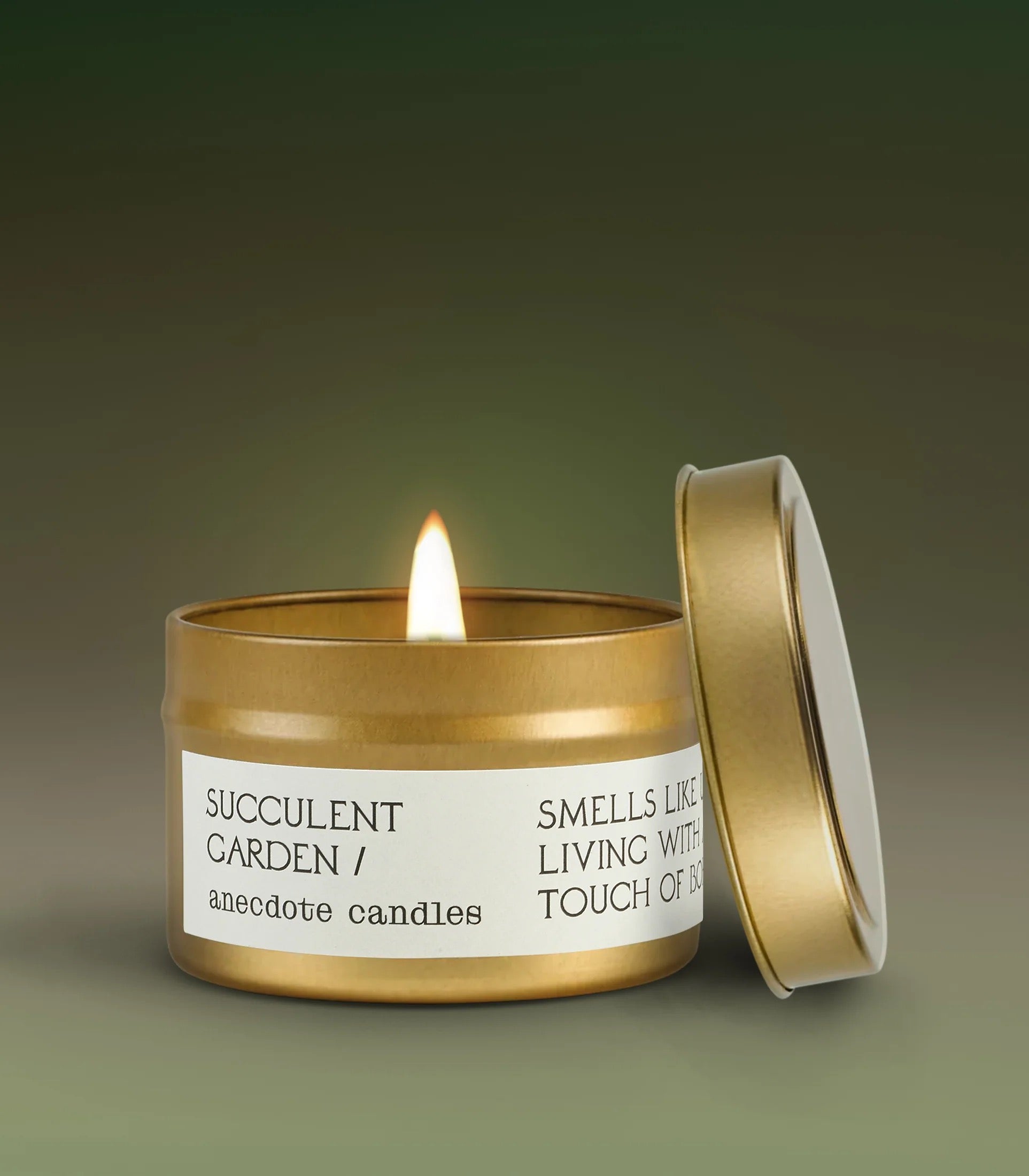 Succulent Garden Anecdote Candles