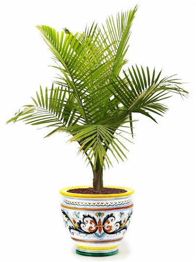 RICCO DERUTA DELUXE: Luxury Cachepot Planter LARGE - Coastous