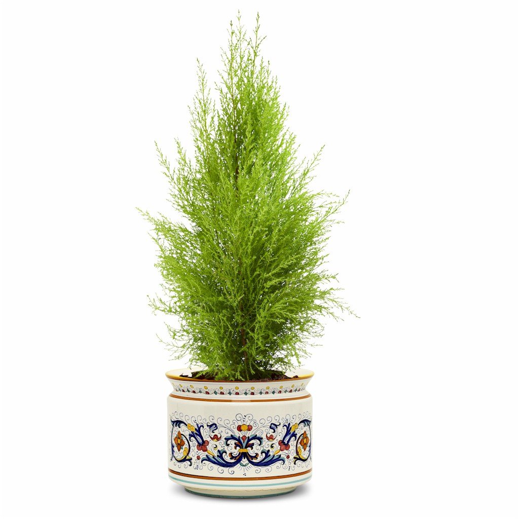 RICCO DERUTA DELUXE: Cylindrical Cover Pot Ricco Deruta Design - Cachepot Planter (Large)