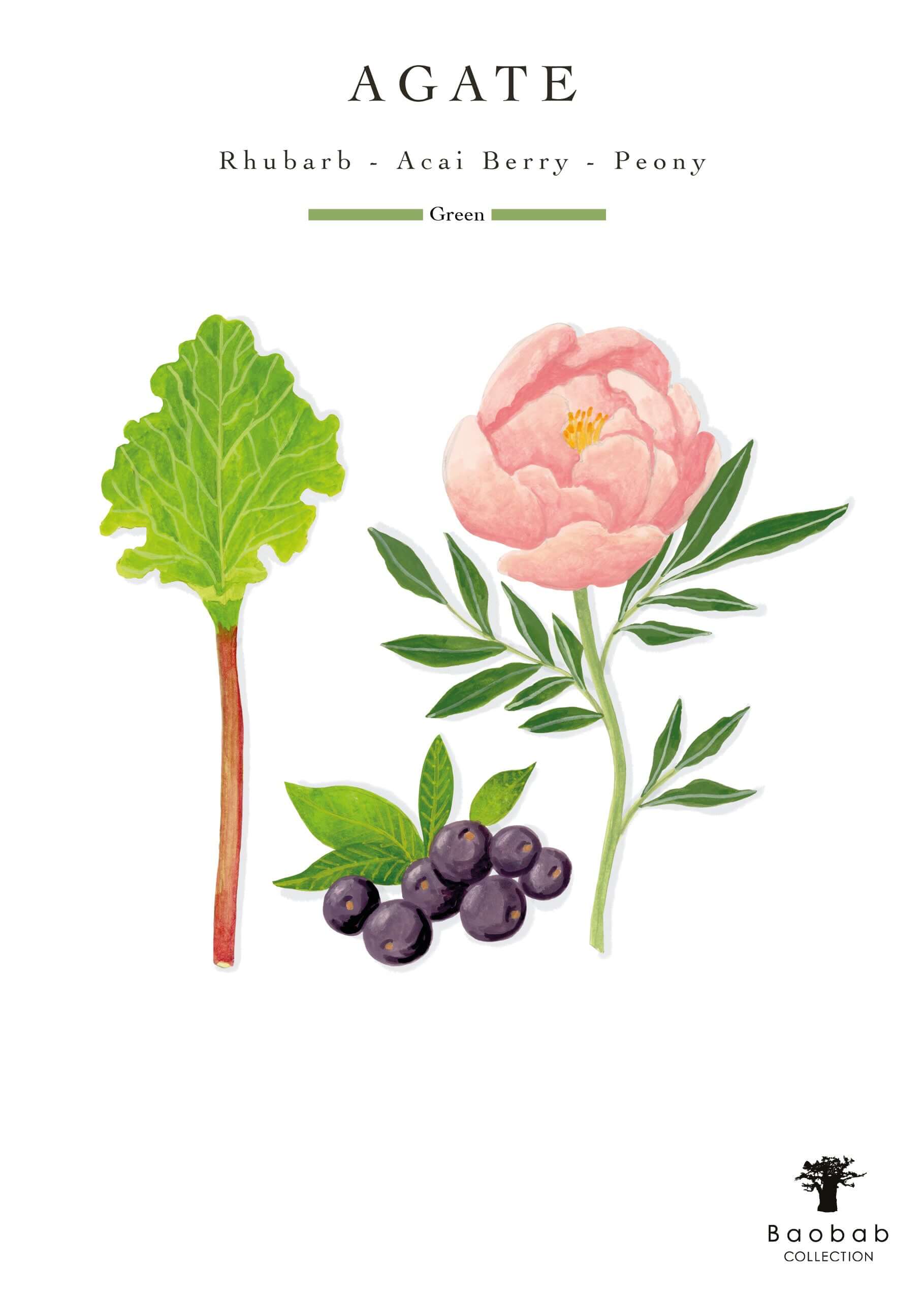 Baobab Collection - Candle Stones Agate - Bergamot-Açai berry-Amber - MAX10 - Coastous