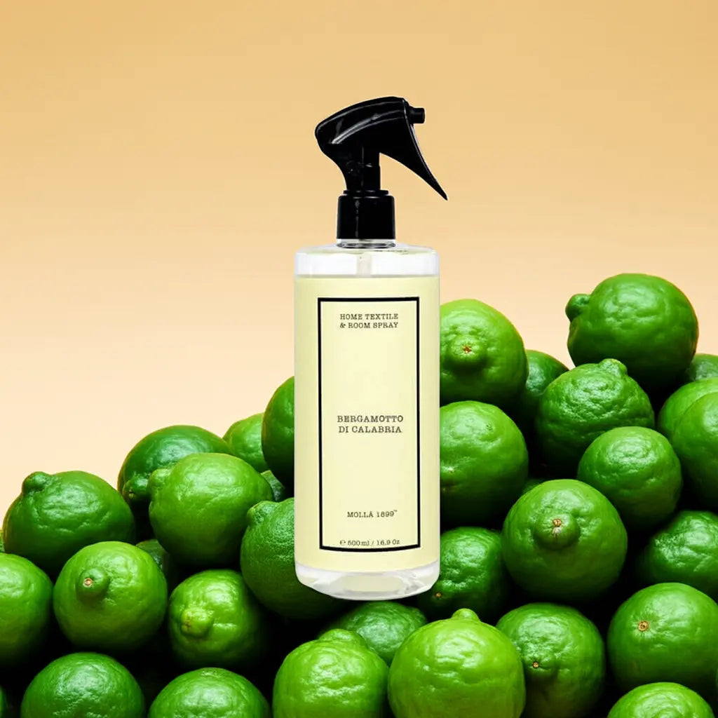 Premium Home & Textile Spray 16.9 fl oz / 500 ml Coastous