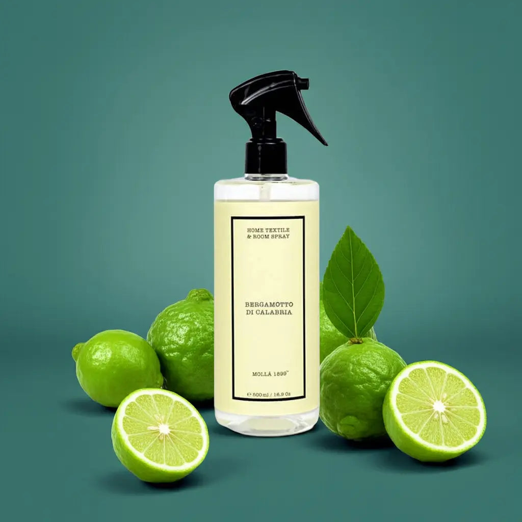 Premium Home & Textile Spray 16.9 fl oz / 500 ml Coastous