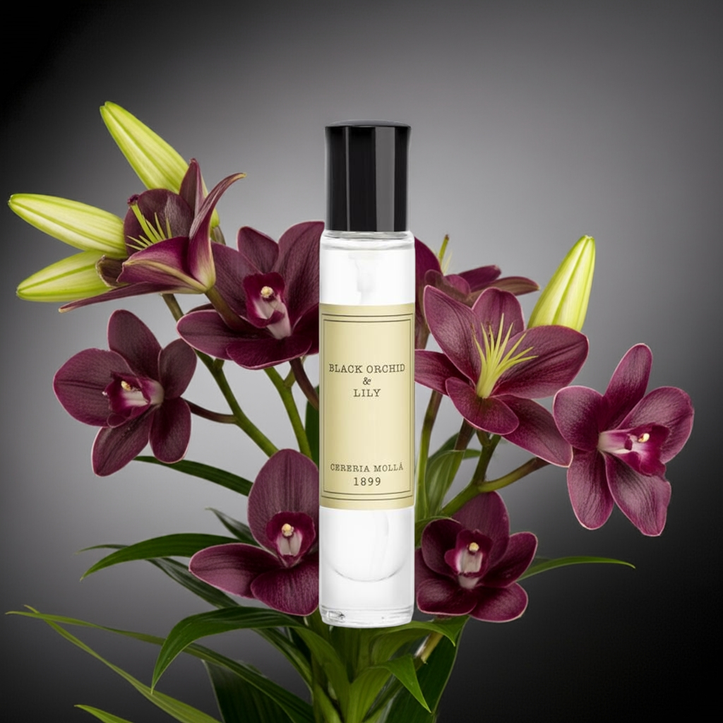 Cereria Molla - Room & Body Travel Spray 0.5 fl oz / 15 ml - Coastous