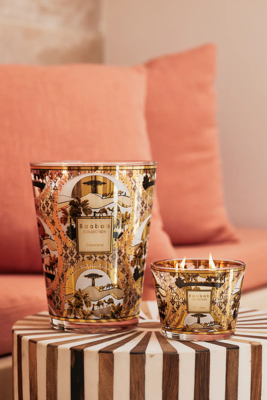 Baobab Collection - SCENTED LIMITED EDITION CANDLE CARAVANE - Fir - Wood Fire - Vetiver - Coastous