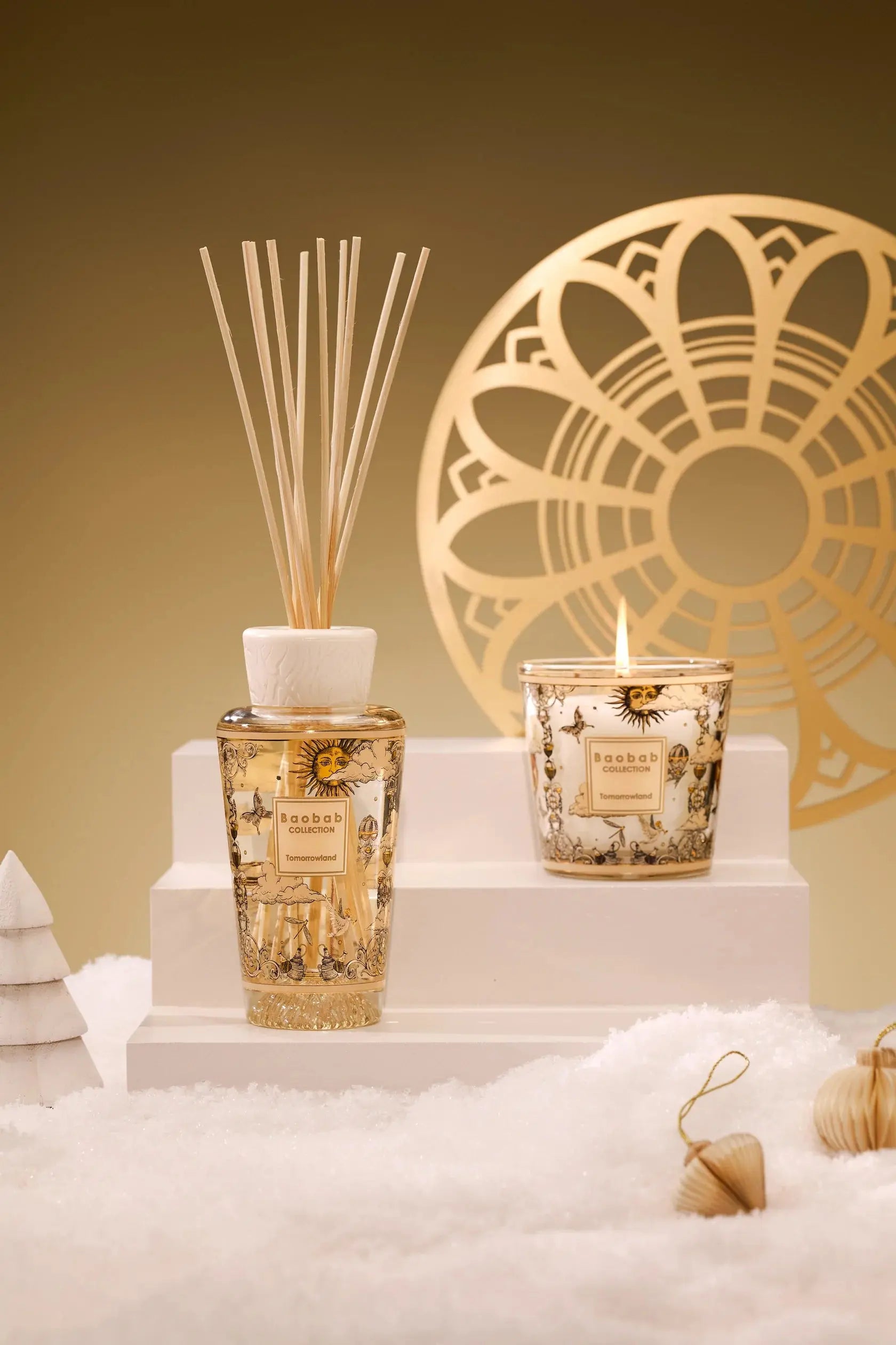 Gift Box My First Baobab Tomorrowland Coastous