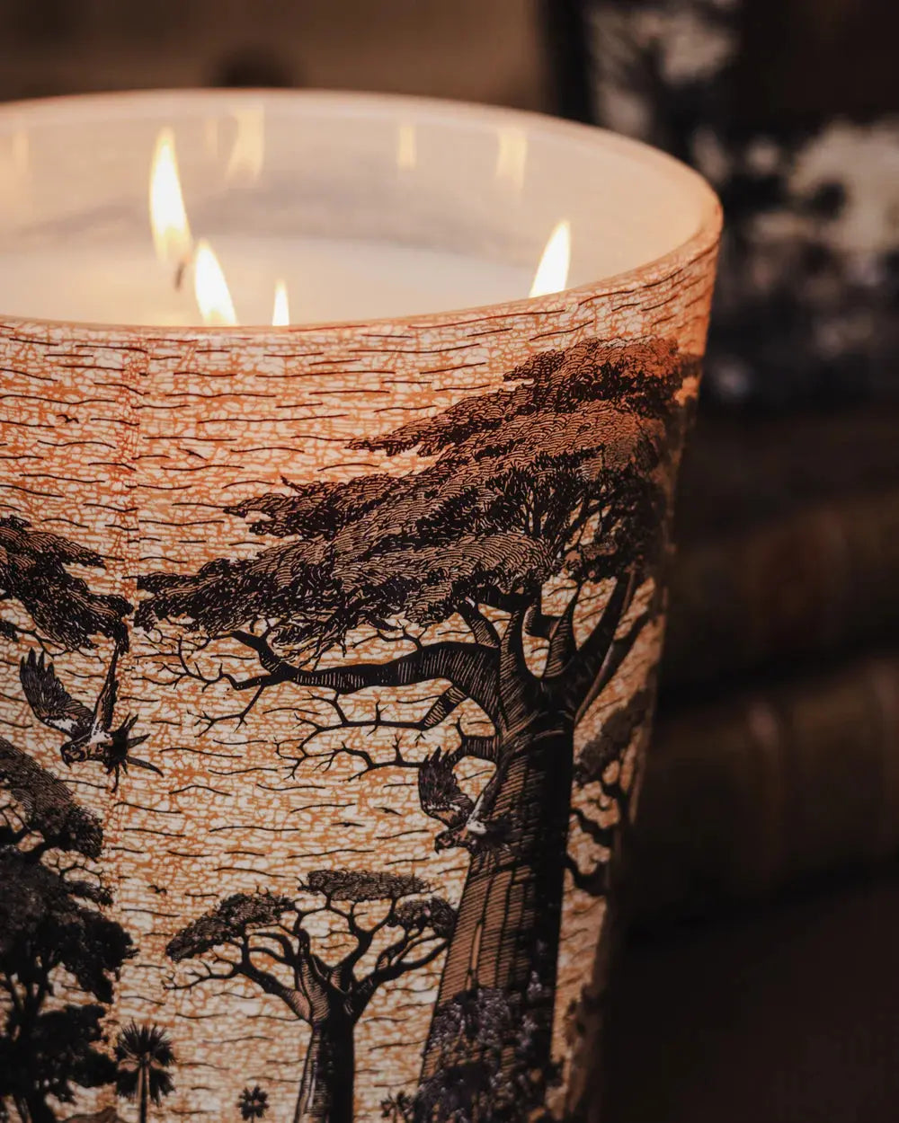 Baobab Collection - Scented Candle Sacred Trees Mankono
