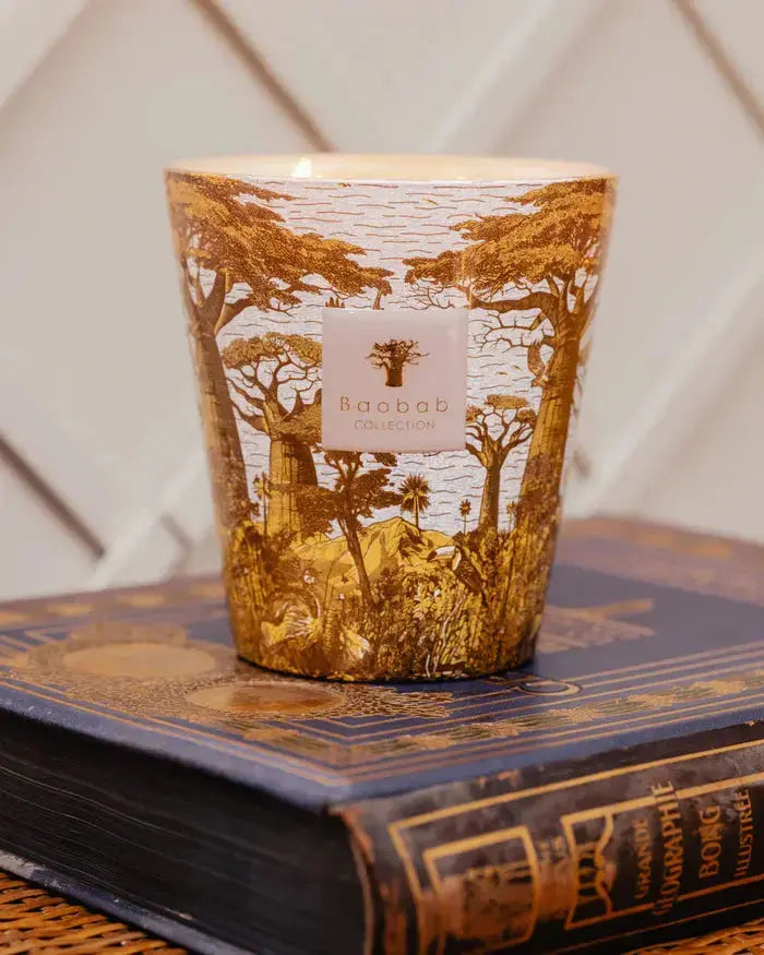 Baobab Collection - Scented Candle Sacred Trees Bounkani