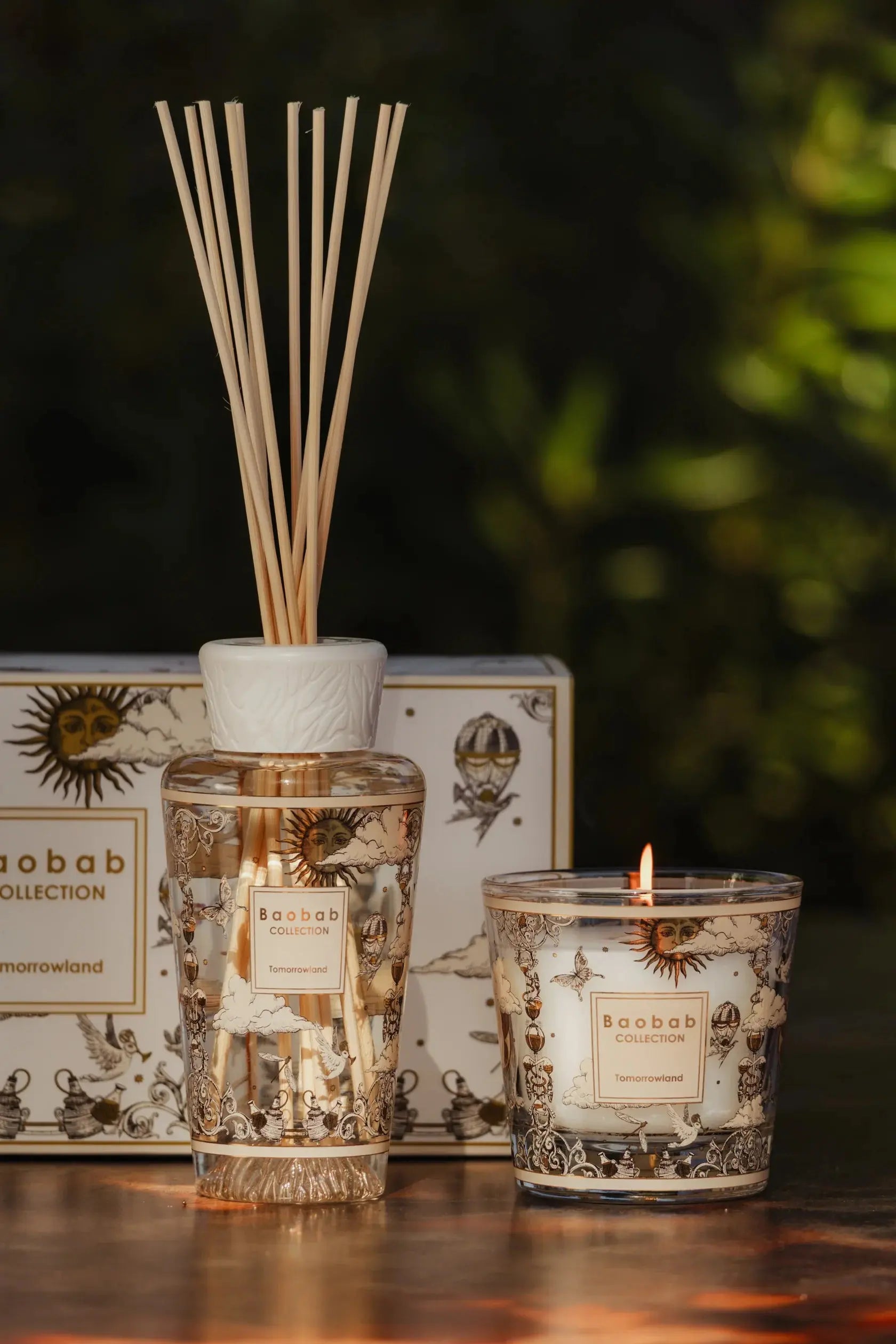 Gift Box My First Baobab Tomorrowland Coastous