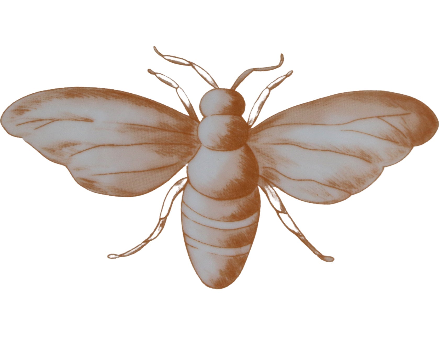 Bumble Homecoming Scalloped Starter Plate - Set of 4 (+1 Bonus Plate) Ro'Table