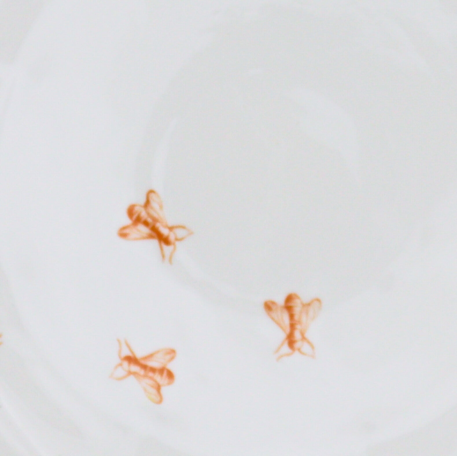 Bumble Voyage Scalloped Dinner Plate - Set of 4 (+1 Bonus Plate) Ro'Table