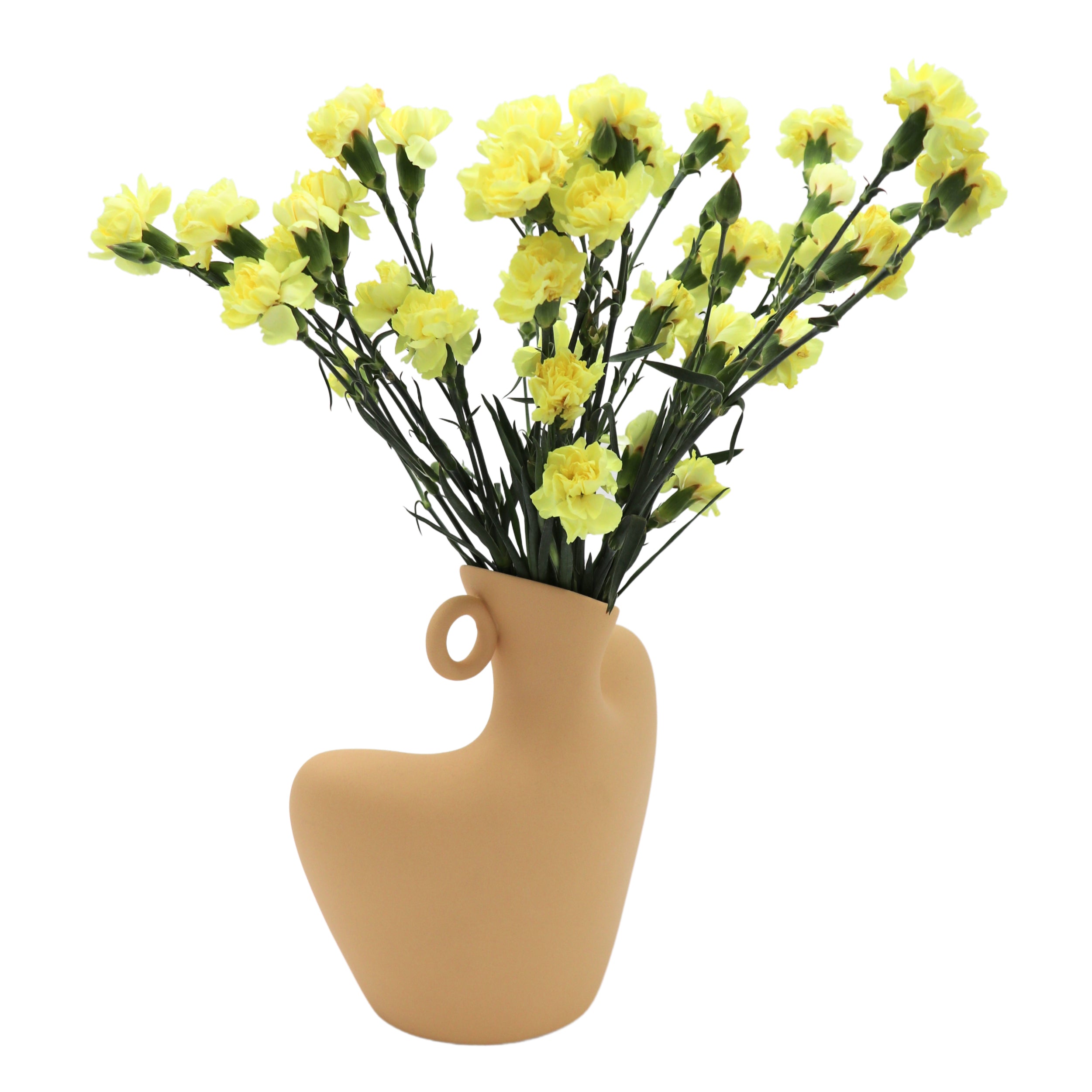 Cream Handle Muse Vase Ro'Table