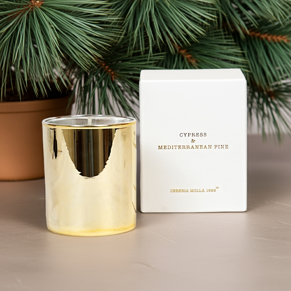 Cereria Molla - Cypress & Mediterranean Pine Holiday Candle - Coastous