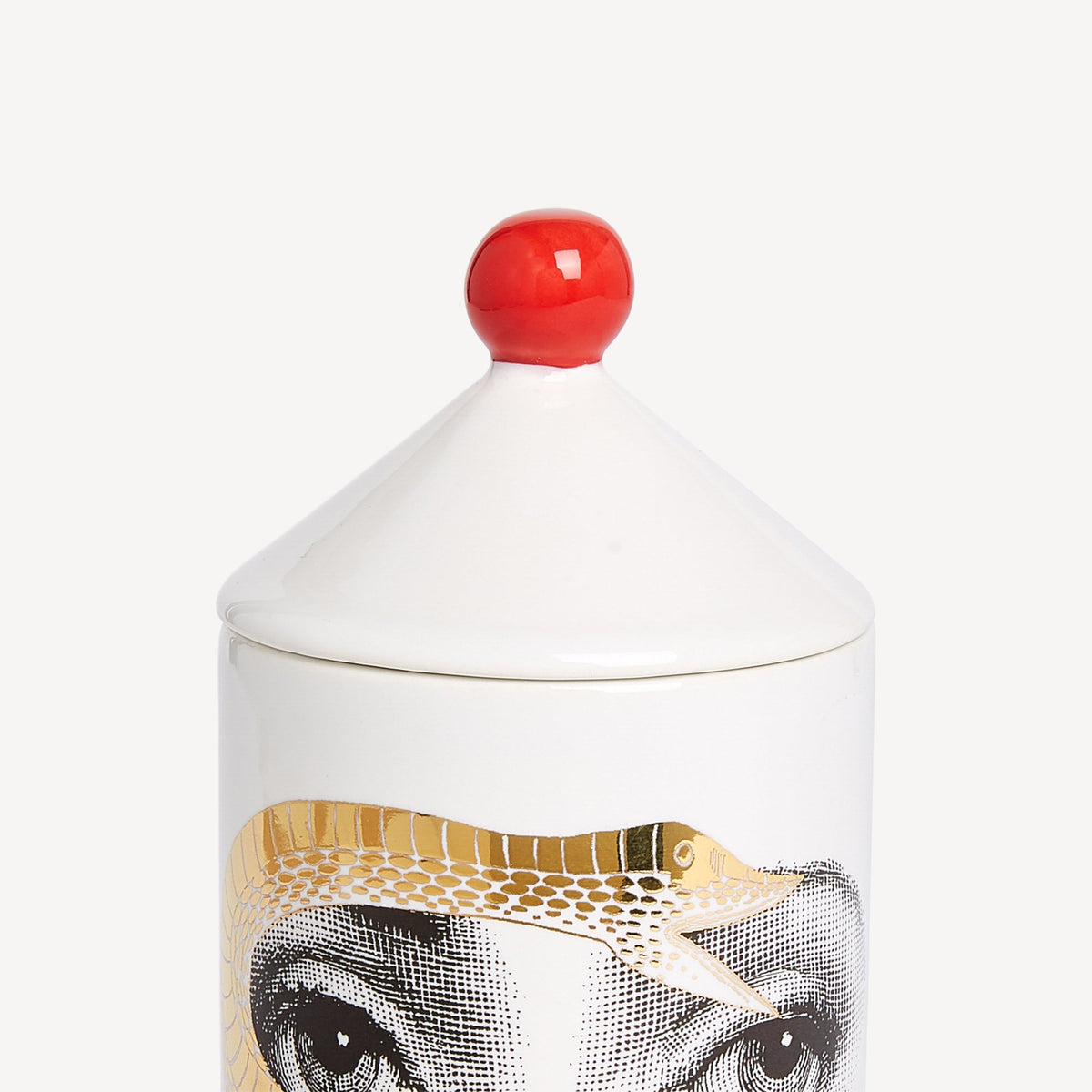 Fornasetti TALVOLTA Room Spray – Peccato Originale, Frutto Proibito