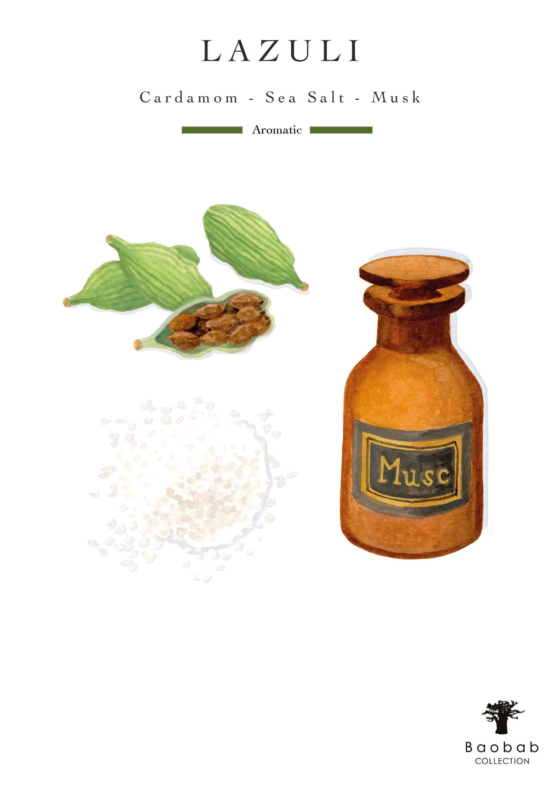 Baobab Collection - Candle Stones Lazuli - Cardamom-Sea Salt-Musk - MAX16 - Coastous