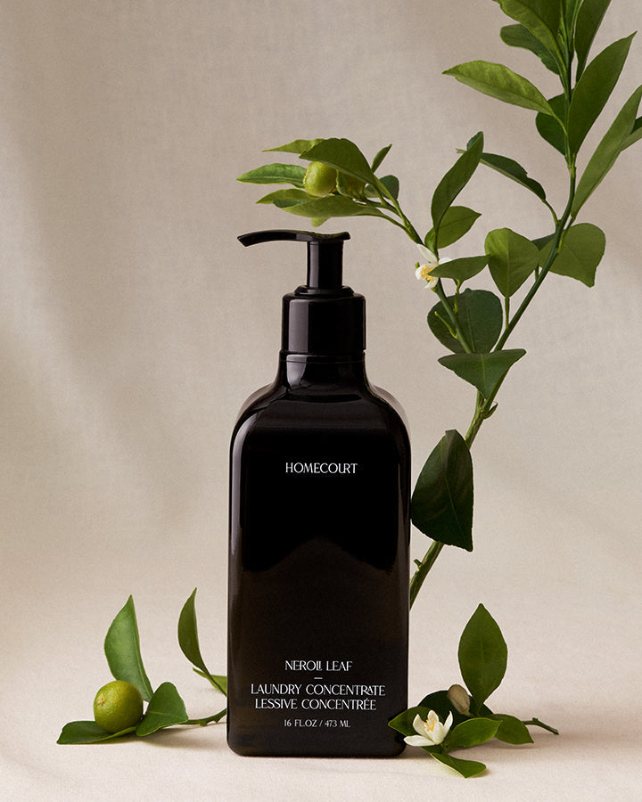 Laundry Concentrate Homecourt