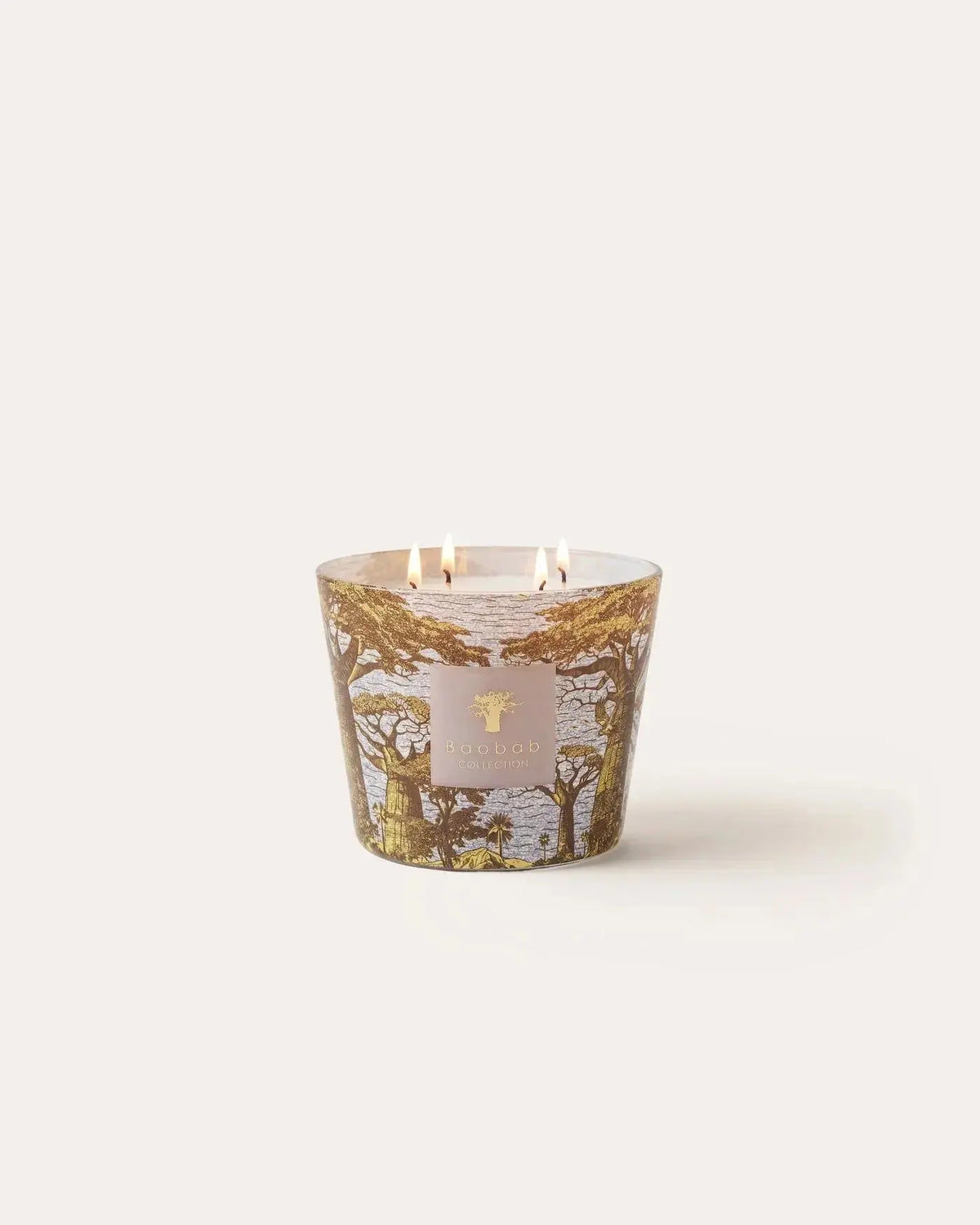 Baobab Collection - Scented Candle Sacred Trees Bounkani