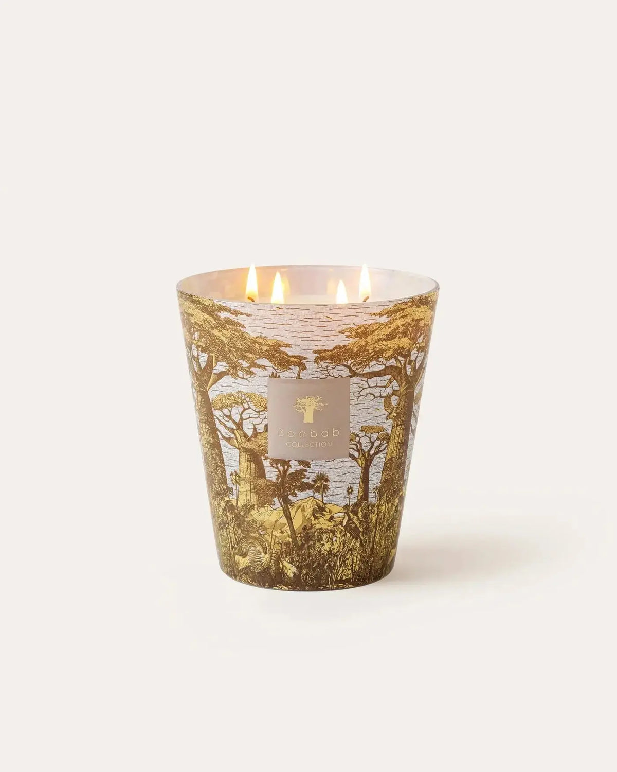 Baobab Collection - Scented Candle Sacred Trees Bounkani