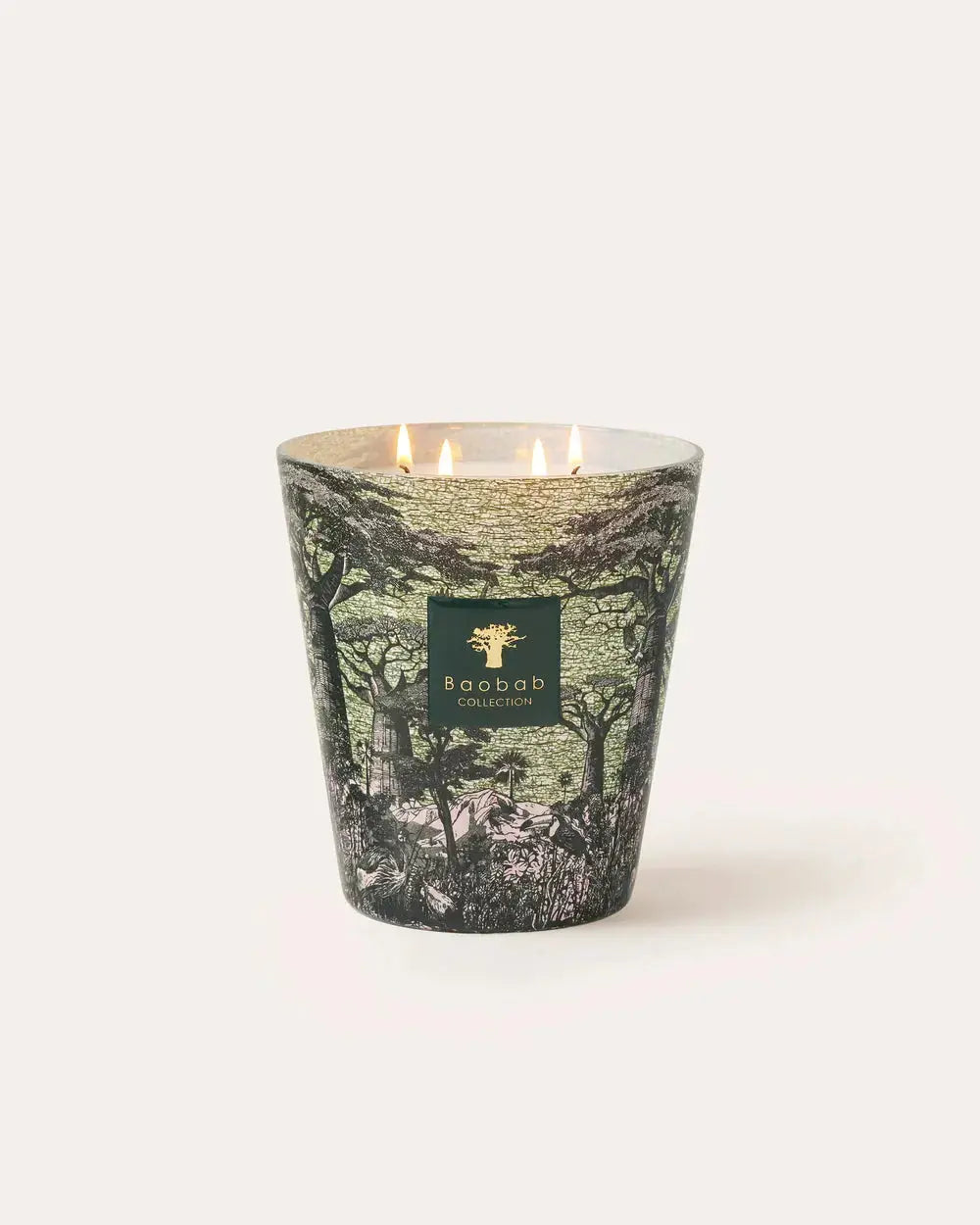 Baobab Collection - Scented Candle Sacred Trees Touba