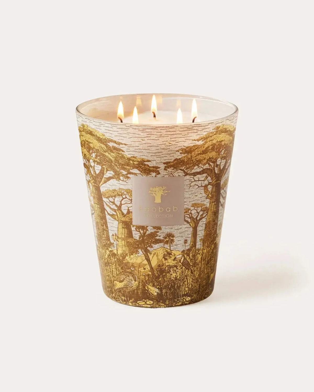 Baobab Collection - Scented Candle Sacred Trees Bounkani