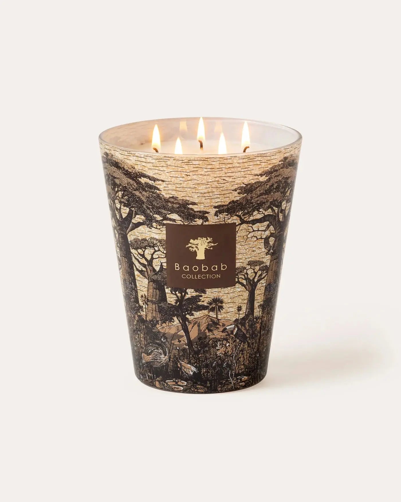 Baobab Collection - Scented Candle Sacred Trees Mankono