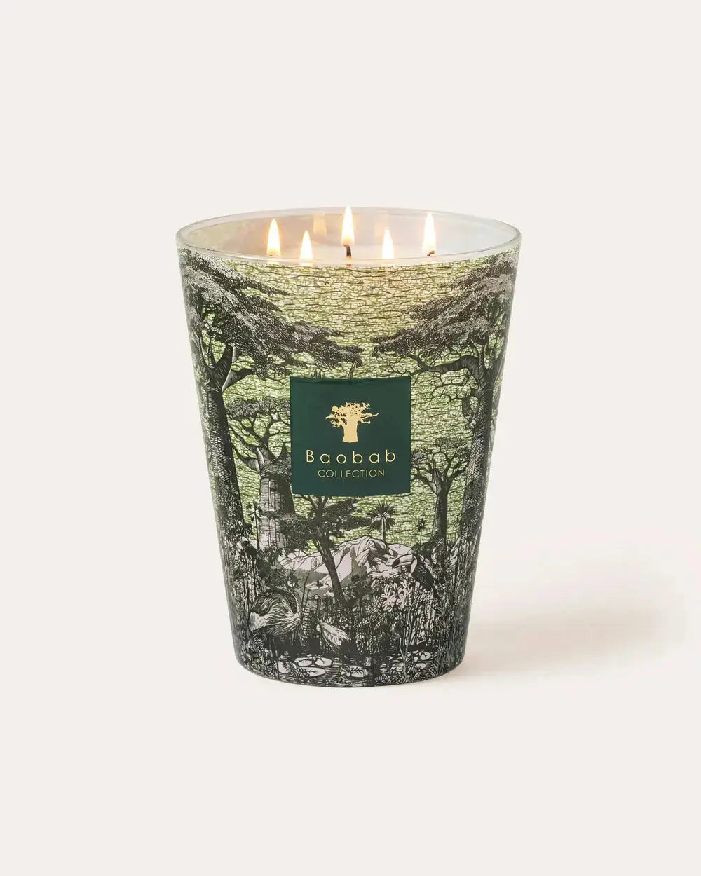 Baobab Collection - Scented Candle Sacred Trees Touba