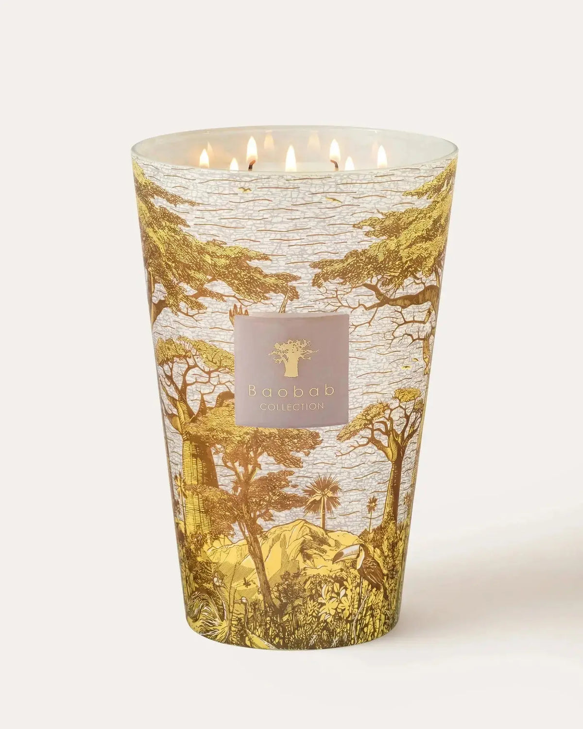 Baobab Collection - Scented Candle Sacred Trees Bounkani