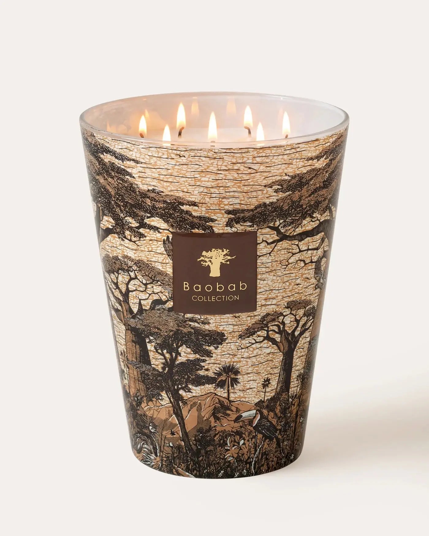 Baobab Collection - Scented Candle Sacred Trees Mankono