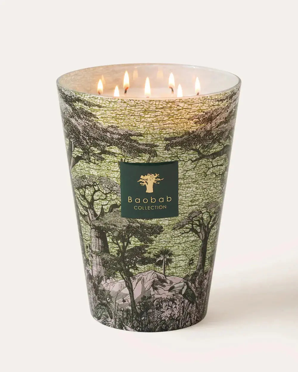 Baobab Collection - Scented Candle Sacred Trees Touba