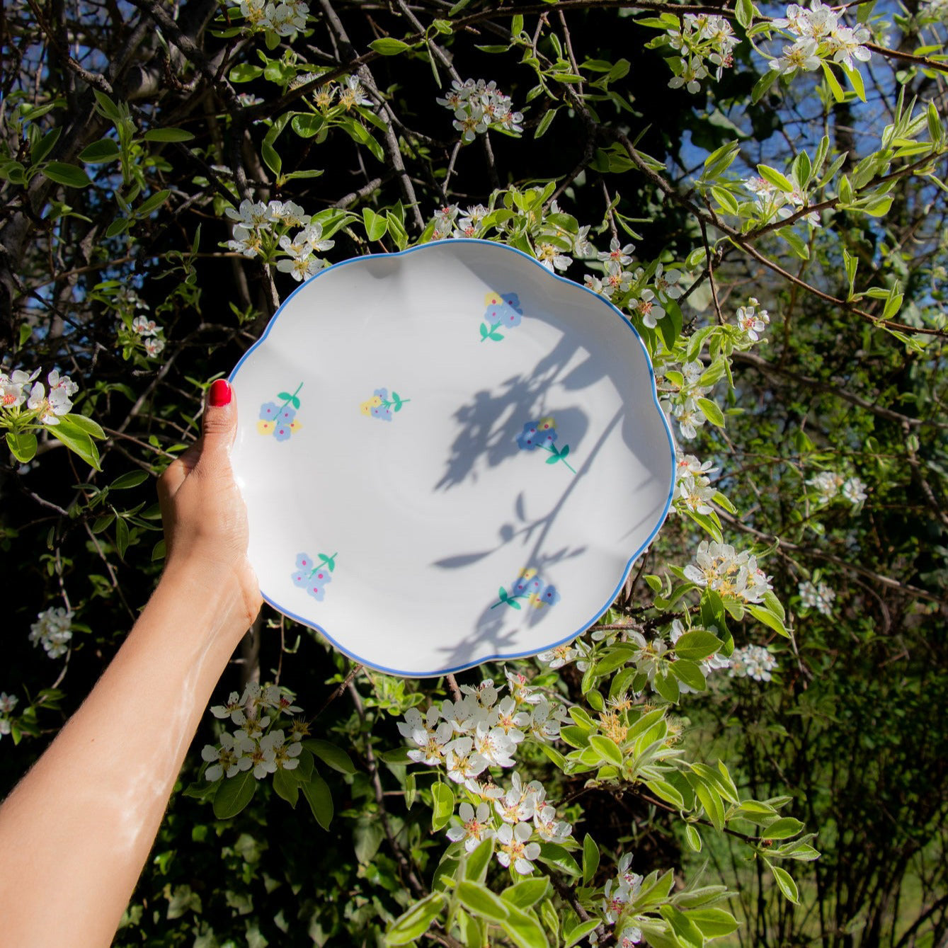 Meadow Flora Dinner Plate - Set of 4 (+1 Bonus Plate) Ro'Table