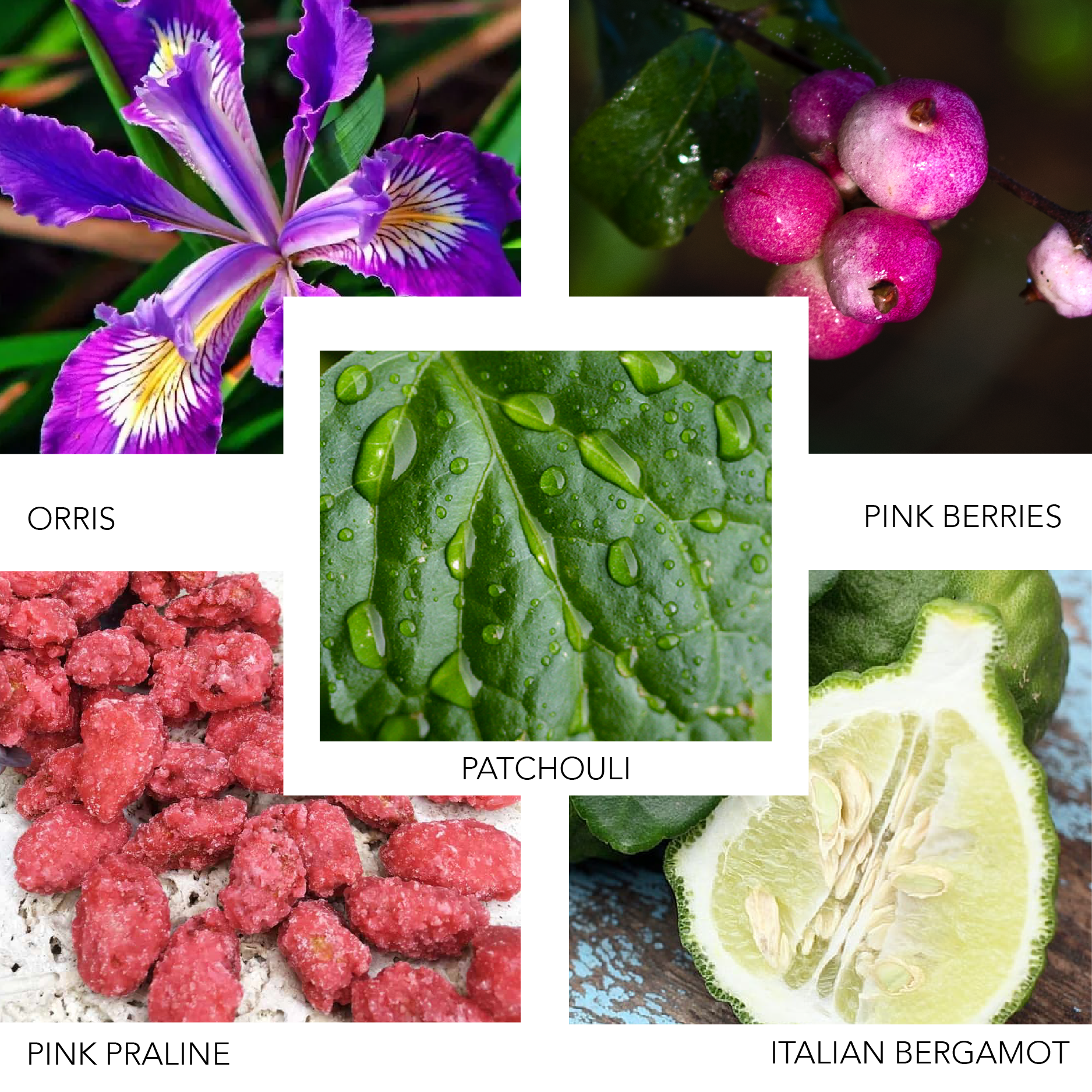 NITRO NOIR 100 ML KIERIN