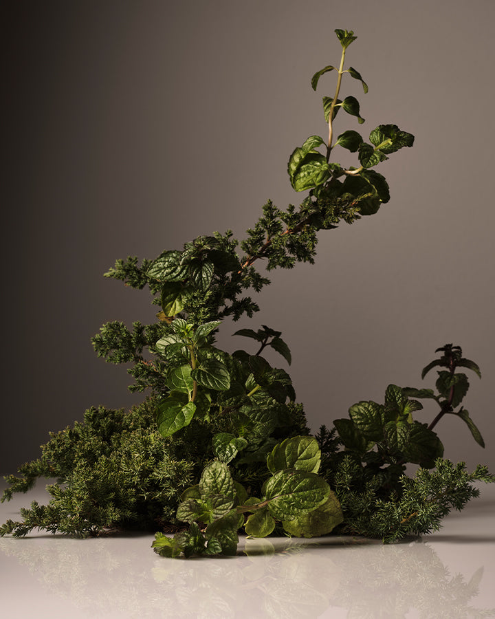 Surface Cleaner Refill Homecourt