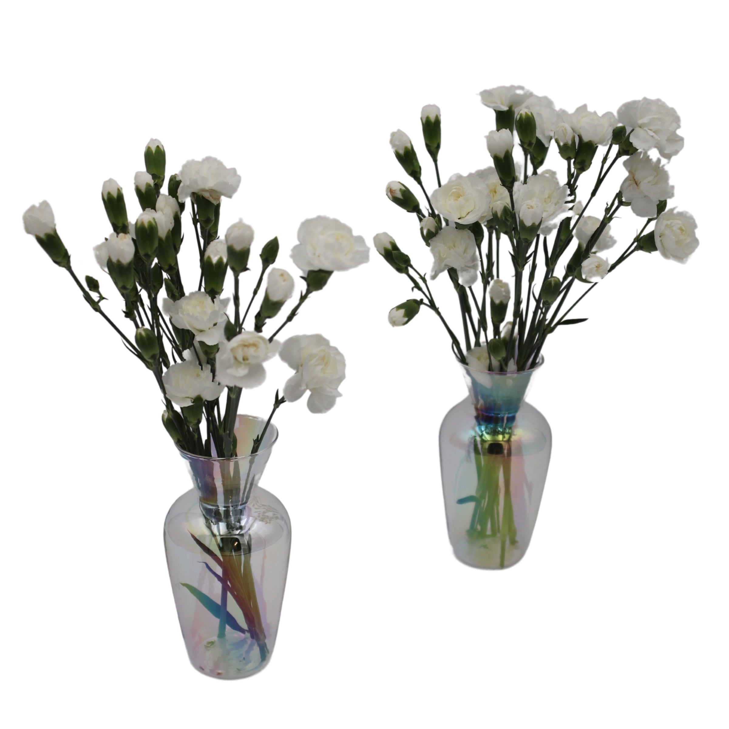Rainbow Prism Vase - Pair Ro'Table