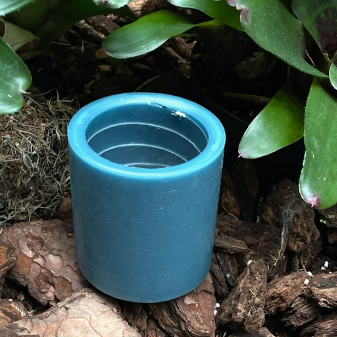 Rainforest Spiral Light Candles