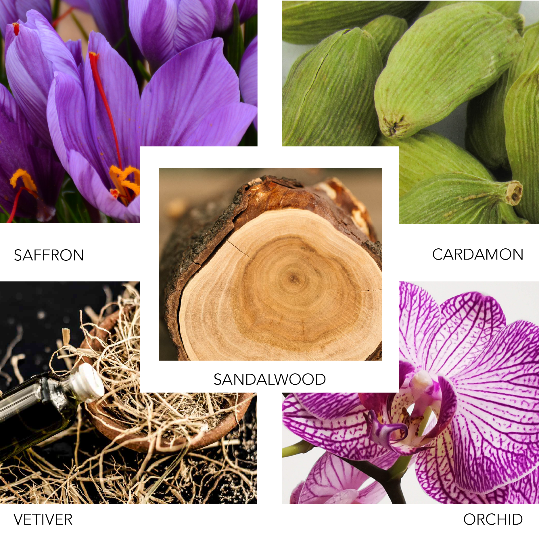 SANTAL SKY 100 ML KIERIN