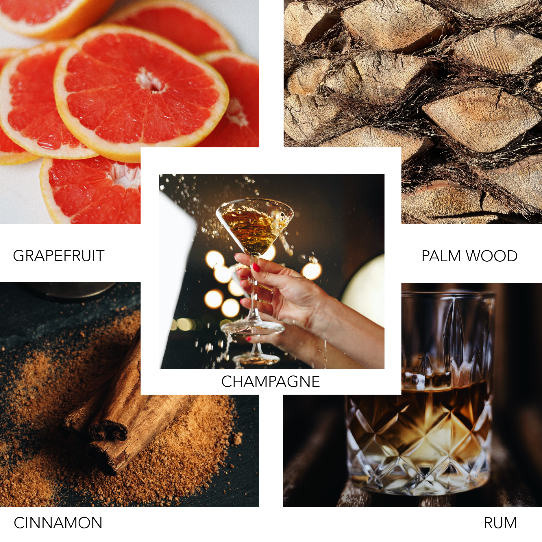 SCENTXME 100 ML KIERIN