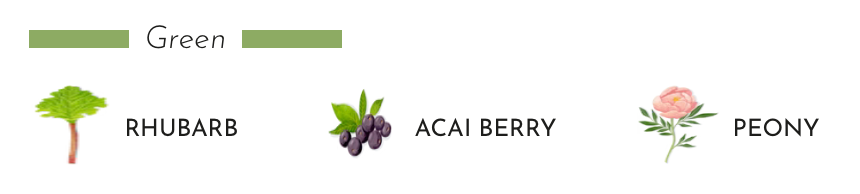 Illustration of rhubarb, acai berry, and peony showcasing the scents of Baobab Collection candle.