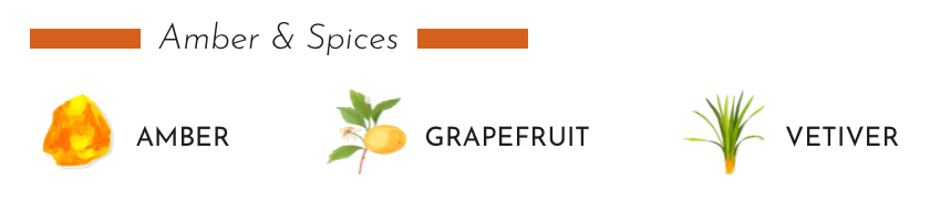 Illustration of Amber, Grapefruit, and Vetiver for the Amber & Spices fragrance collection.