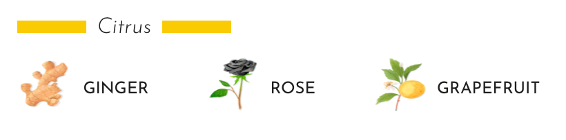Citrus fragrance notes: ginger, rose, and grapefruit illustrated in a decorative style.