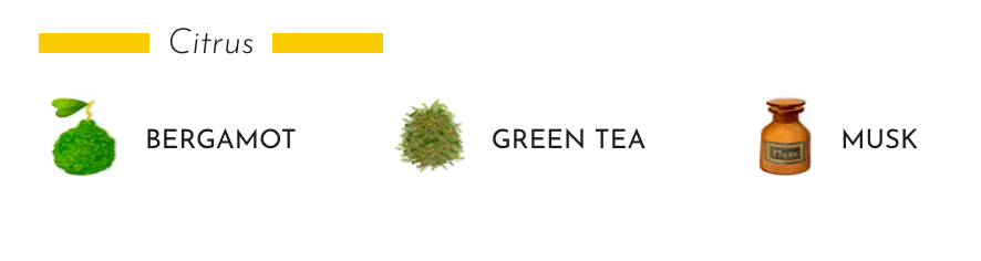 Baobab Collection - Totem Oceania Jukurrpa Diffuser - Bergamot - Green Tea - Musk - 67.6 FL OZ / 2L - Coastous