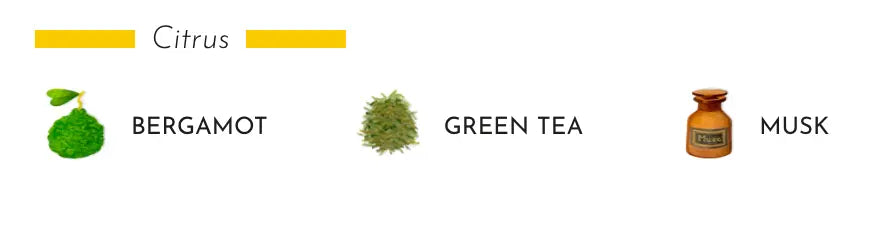 Totem Oceania Jukurrpa Diffuser 67.6 FL OZ / 2L Coastous