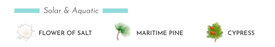 Illustration of fragrance notes: Flower of Salt, Maritime Pine, and Cypress for solar and aquatic scents.