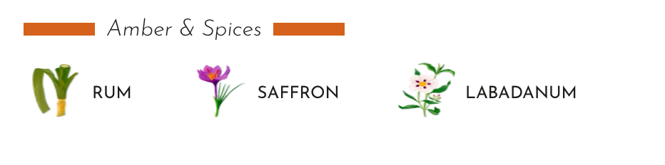 Baobab Collection - GIFT BOX MY FIRST BAOBAB GENTLEMEN - Coastous