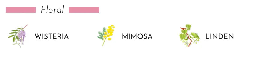 Gift Box My First Baobab Paris Coastous