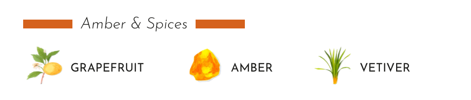 Illustration of grapefruit, amber, and vetiver representing the fragrance notes of the Baobab diffuser.