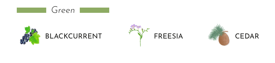 Illustration of scents: Blackcurrant leaf, Freesia flower, and Cedar wood in a green theme.