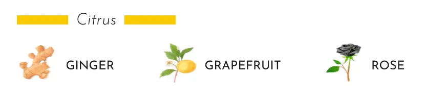 Candle Pearls Black Coastous