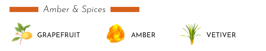 Icons representing grapefruit, amber, and vetiver for a scented candle fragrance called Amber & Spices.