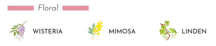 Floral illustrations of Wisteria, Mimosa, and Linden for Baobab Collection scented candle.