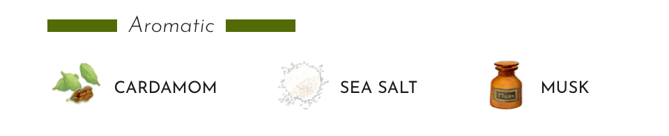 Aromatic ingredients: cardamom, sea salt, and musk for a sophisticated fragrance blend.
